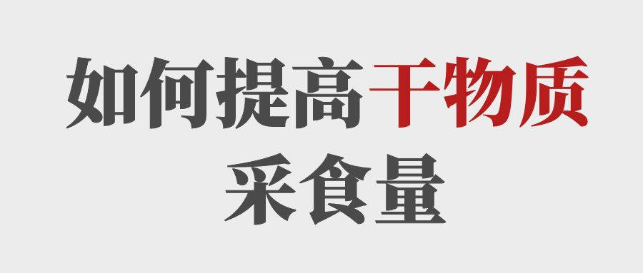 做到這5點(diǎn)提高育肥牛的干物質(zhì)采食量！